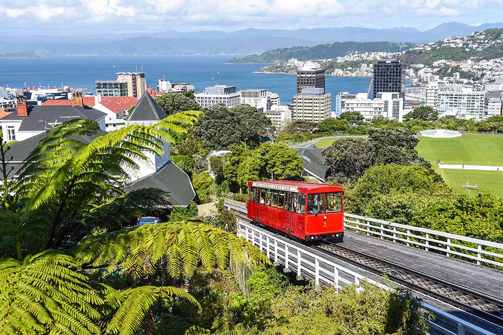 study in New Zealand